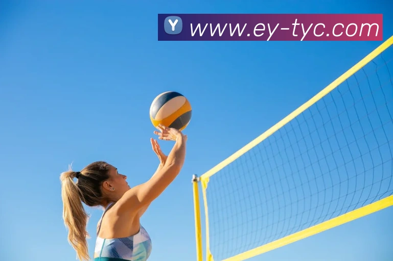 App Interface Preview